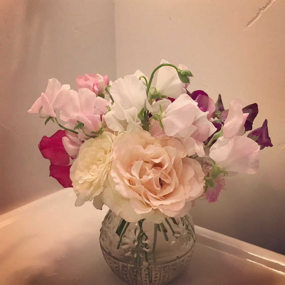 Meet your Posher, Ellen